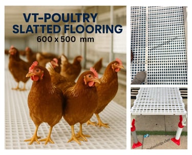 Image of poultry slatted flooring and hen standing on it