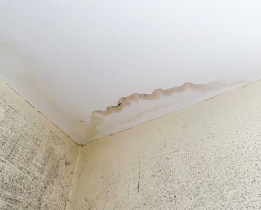 statybos-ekspertize-defektu-fiksavimas-ekstata