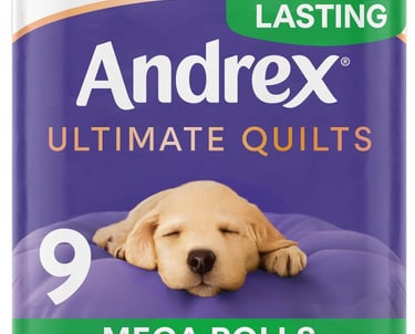 a dog laying on a pillow with a large box of the product