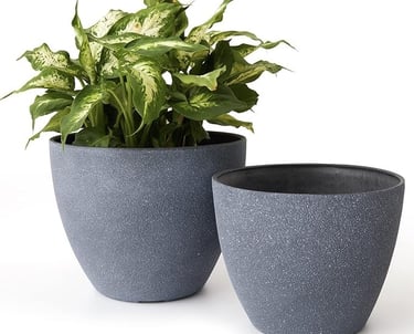 a potted planter with a potted planter