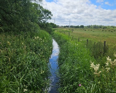 Water Course Pollution 