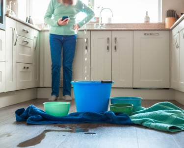 Leak in kitchen