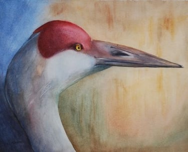 Watercolor - Wildlife WC200915