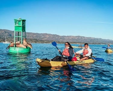 Couple kayaking in Santa Barbara