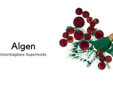 Algen - unschlagbare Superfoods