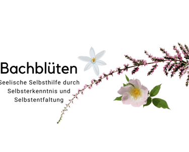 Bachblüten Selbsthilfe sanapendium