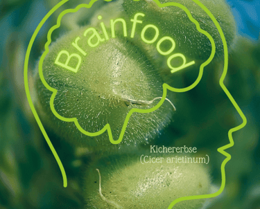 Brainfood Kichererbse