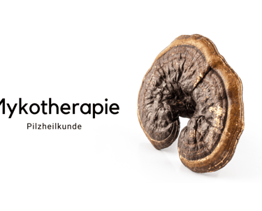 Mykotherapie - Pilzheilkunde