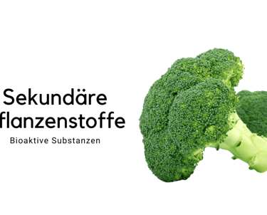 Sekundäre Pflanzenstoffe  sanapendium