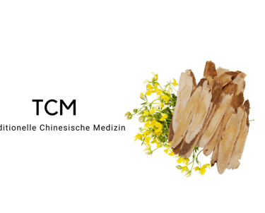 TCM Traditionelle Chinesische Medizin Sanapendium