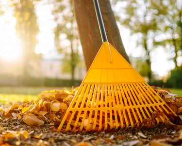 raking leaves
