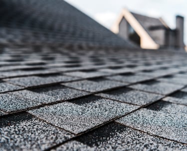 resident shingle roof