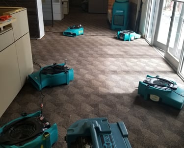 a room with a lot of blue carpeting and a lot of blue carpeting
