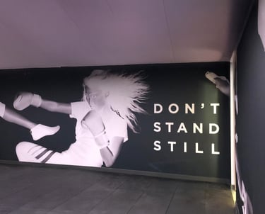 Vienos dalies interjero sienų grafika DECOSONA – unikalūs sienų raštai ir iliustracijos