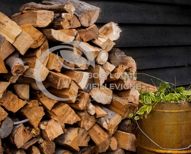 un tas de bois rangé