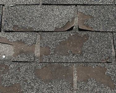 “Protek-General-Contractors.jpg”