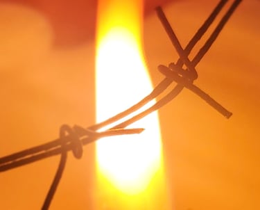 A flame on barbed wire. A common description for endometriosis pain.