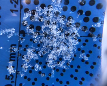 Test de Nivologia - Benasque