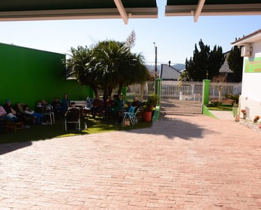 Grupo de Idosos Sentados no Jardim da Casa de Repouso