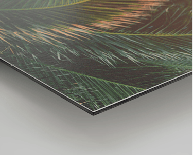 Contre collage Dibond Papier Fine Art haute qualité d'impression