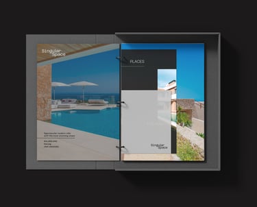 Diseño de material colateral Singular Space