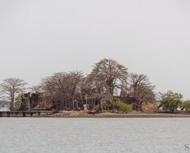 view of kunta kinteh island