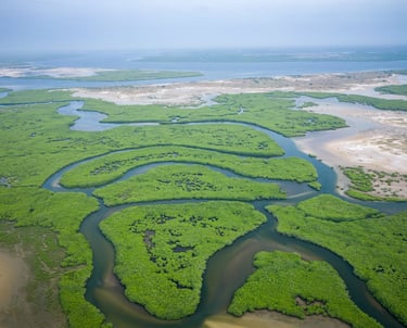 overhead view of saloum delta