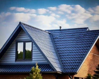 A modern Metal Roofing house 