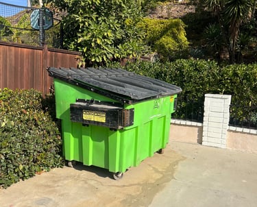 3 cubic yard bin ready for garage cleanup.