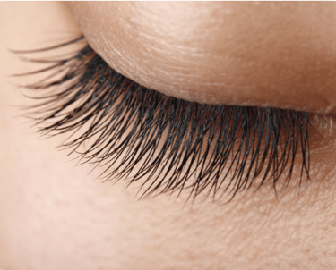 Faux cils