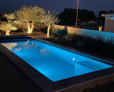 Piscine avec revètement armé