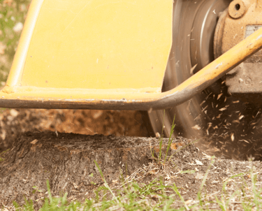 Stump Grinding