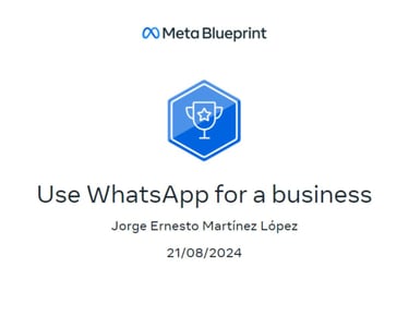 whatsapp business