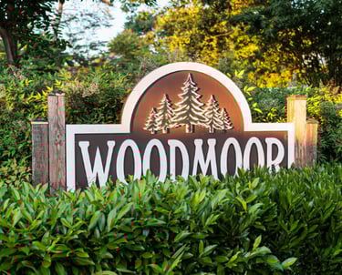 woodmoor mobile detailing colorado springs