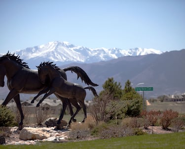 FLYING HORSE NEIGHBOOR MOBILE DETAILING 