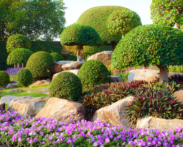 Landscaping services oklahoma by matias landscaping