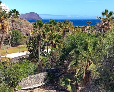 Blick von der Marina auf den Montaña Roja