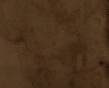 chocolate SP