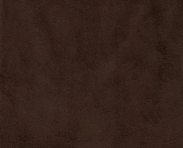 coffee SP
