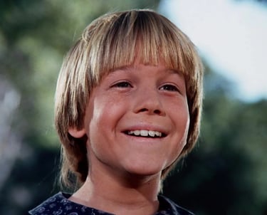 David Friedman in Little House on the Prairie