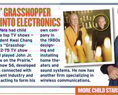 kung fu grasshopper jumped into electronics