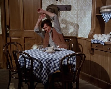 Dan McBride in Little House on the Prairie