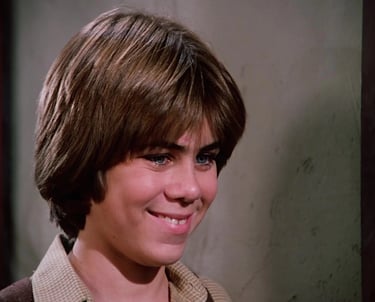  Patrick Labyorteaux on Little House on the Prairie