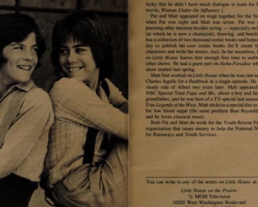 TV82 book about Matthew & Patrick Labyorteaux