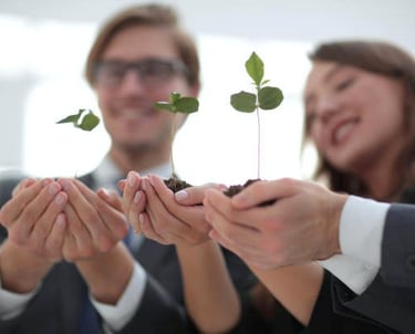 Estrategías de Consultores SEO