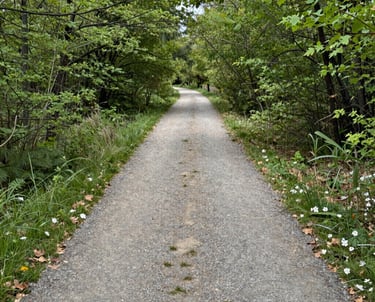 A Supportive Path to Relief