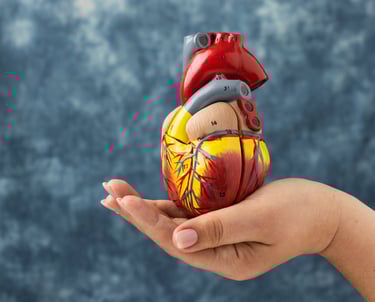 Sc Medical Misión