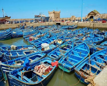 Excursion Essaouira