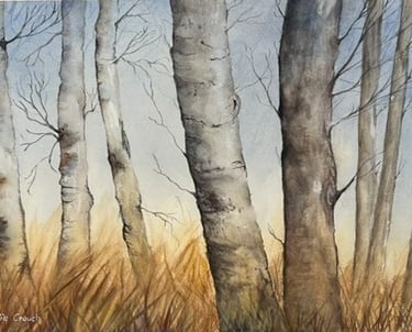 Birch trees painted in Watercolour