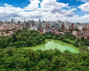 Parque da Aclimação - aluguel de caçambas